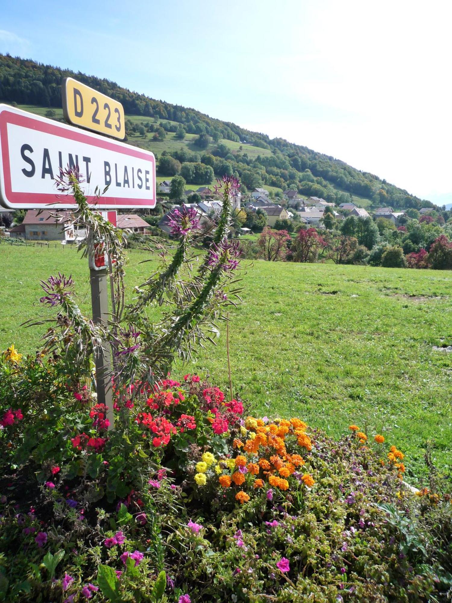 The Originals City, Hotel Rey Du Mont Sion, Saint-Julien-En-Genevois Sud Exterior foto